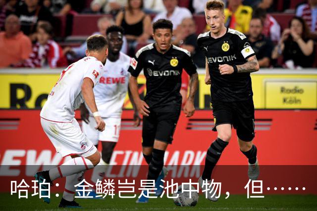哈珀：金鳞岂是池中物，但……